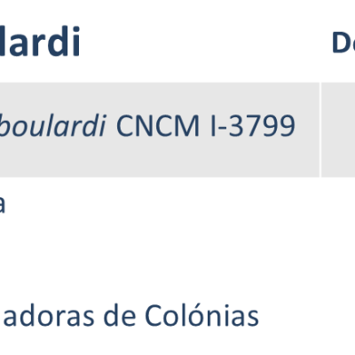 NPRO Leboulardi contém o probiótico Saccharomyces boulardii. 5 mil milhões de UFC por cápsula. Isenta de fibras. Apta em dietas FODMAP, SIBO e bx histamina. | Moonsport
